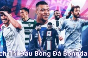 Bongdaso  Cập Nhật Lịch Hôm Nay Và Ngày Mai Chuẩn Nhất