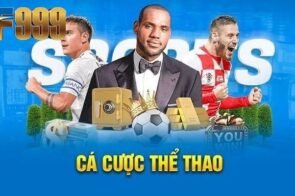 Thể thao DF999 – Sân chơi thể thao trực tuyến đáng tin cậy
