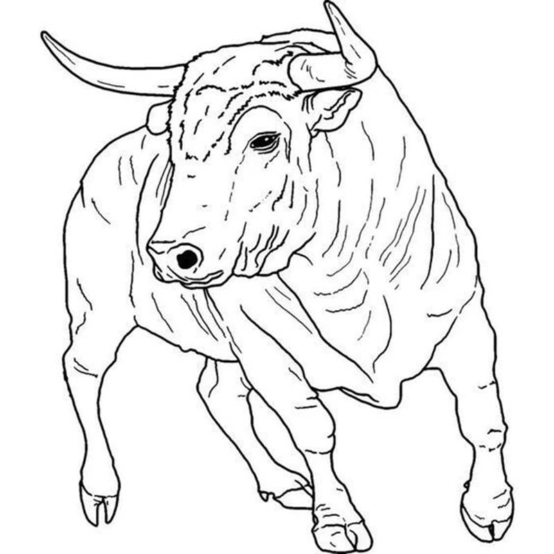 tô màu 12 con giáp 17