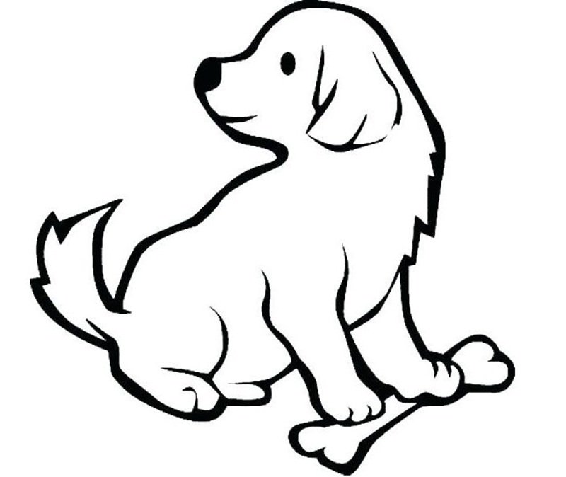 tô màu 12 con giáp 5