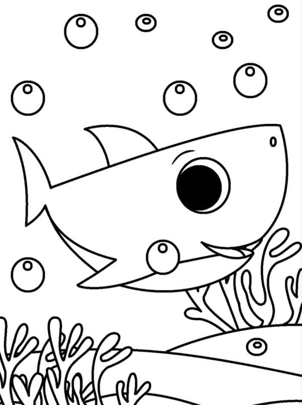 tô màu baby shark 16