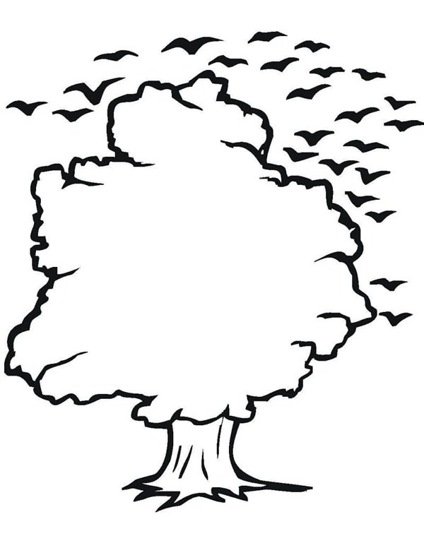 tô màu cây xanh 10