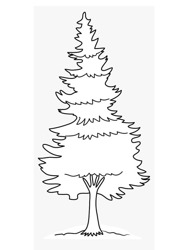 tô màu cây xanh 11