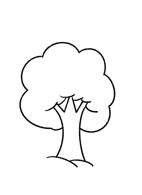 tô màu cây xanh 16