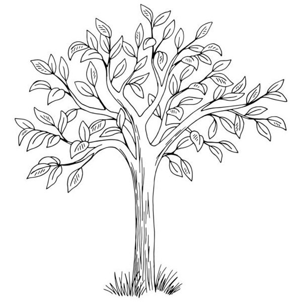 Tree graphic black white isolated sketch illustration vector