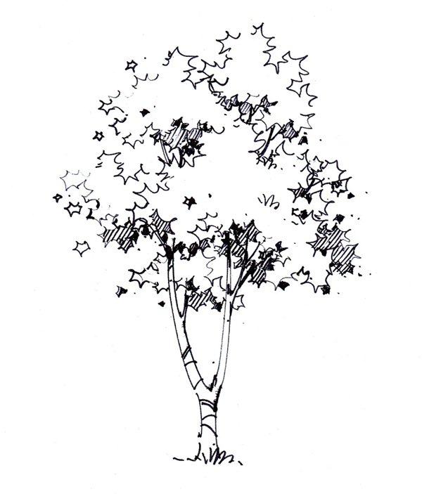 tô màu cây xanh 30