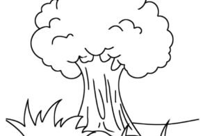 Khám phá 80+ tô màu cây xanh dành cho mọi lứa tuổi