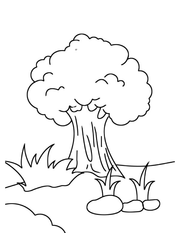 tô màu cây xanh 34