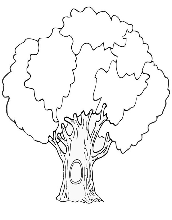 tô màu cây xanh 5