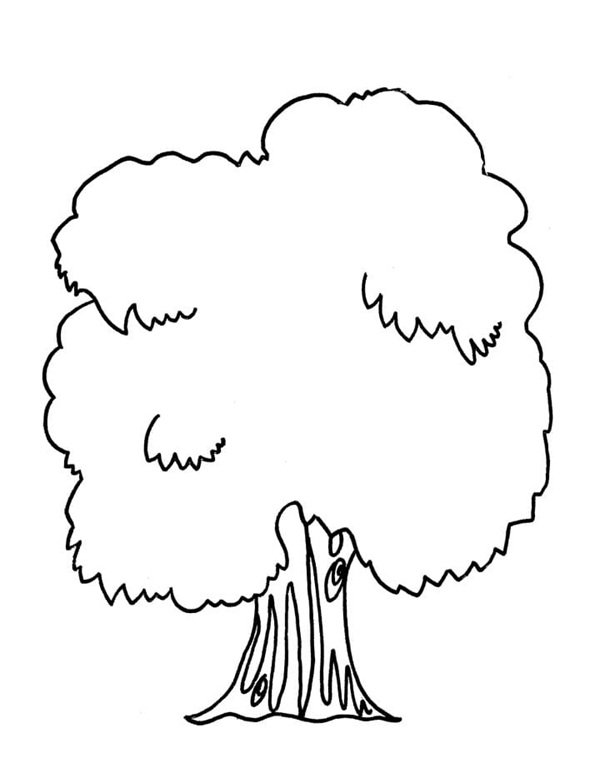 tô màu cây xanh 8