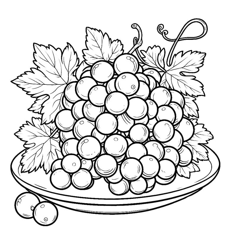 tô màu chùm nho 14
