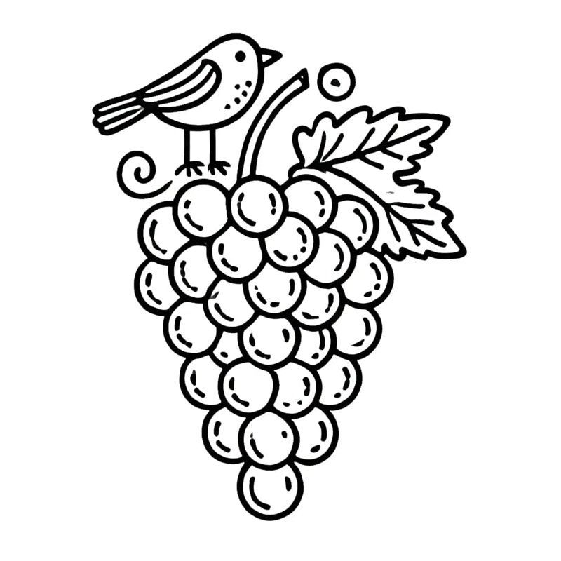 tô màu chùm nho 16