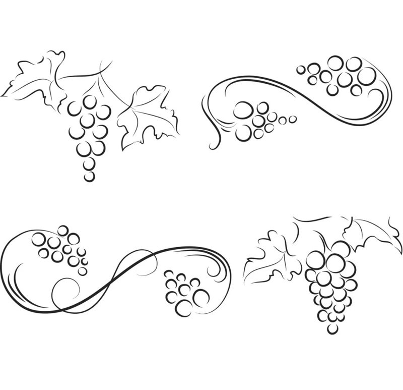tô màu chùm nho 2