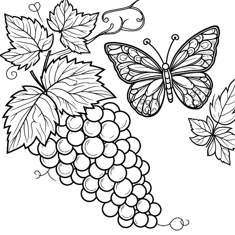 tô màu chùm nho 22