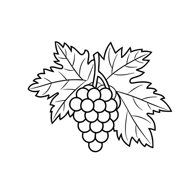 tô màu chùm nho 23