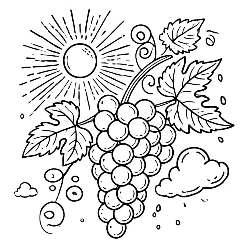 tô màu chùm nho 24