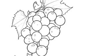 Tải ngay 67+ tranh tô màu chùm nho siêu cute
