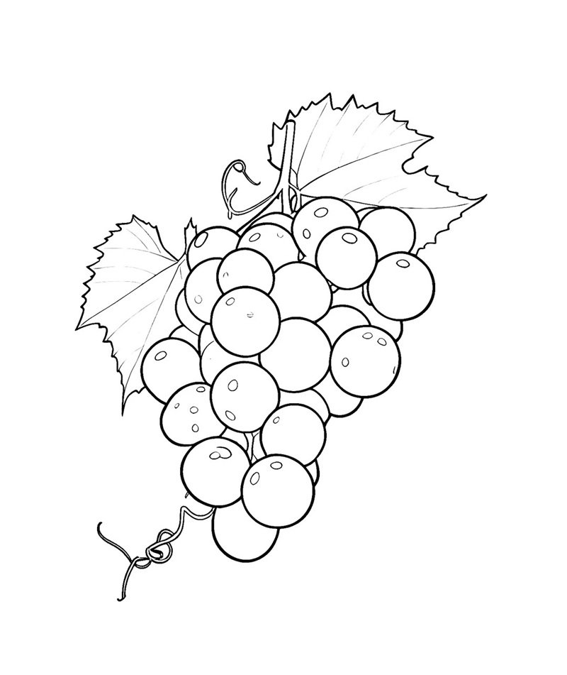 tô màu chùm nho 25
