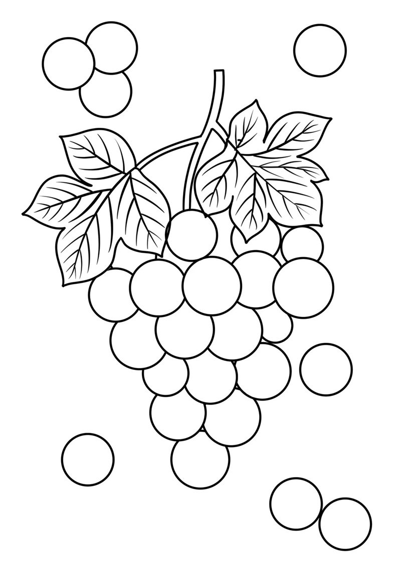 tô màu chùm nho 29