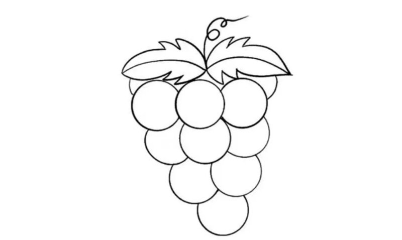 tô màu chùm nho 30