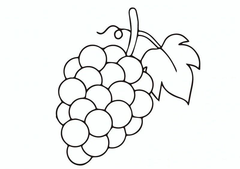 tô màu chùm nho 32