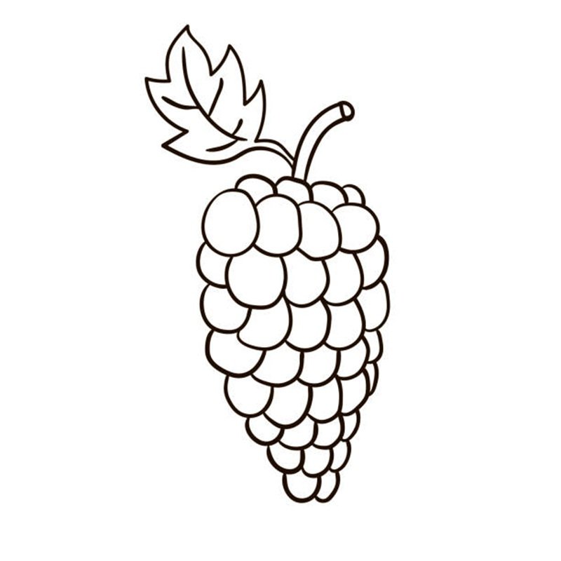 Cartoon doodle linear grapes isolated on white background. Vector illustration.