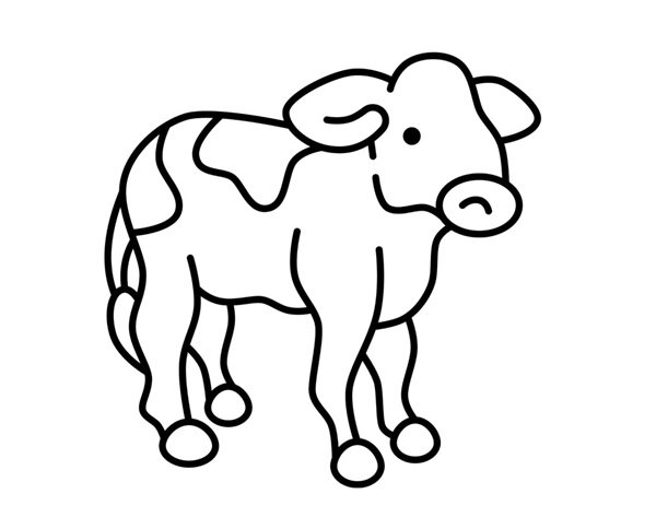 tô màu con bò sữa 30