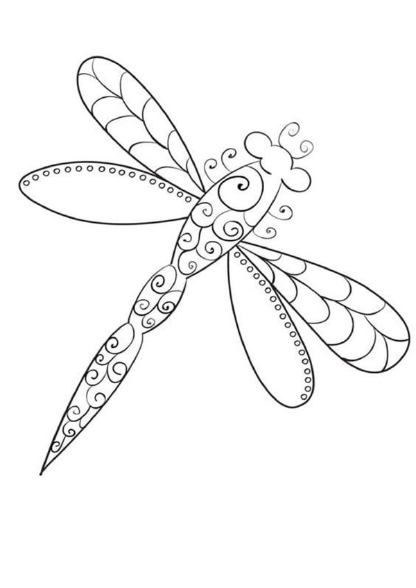 tô màu con chuồn chuồn 14