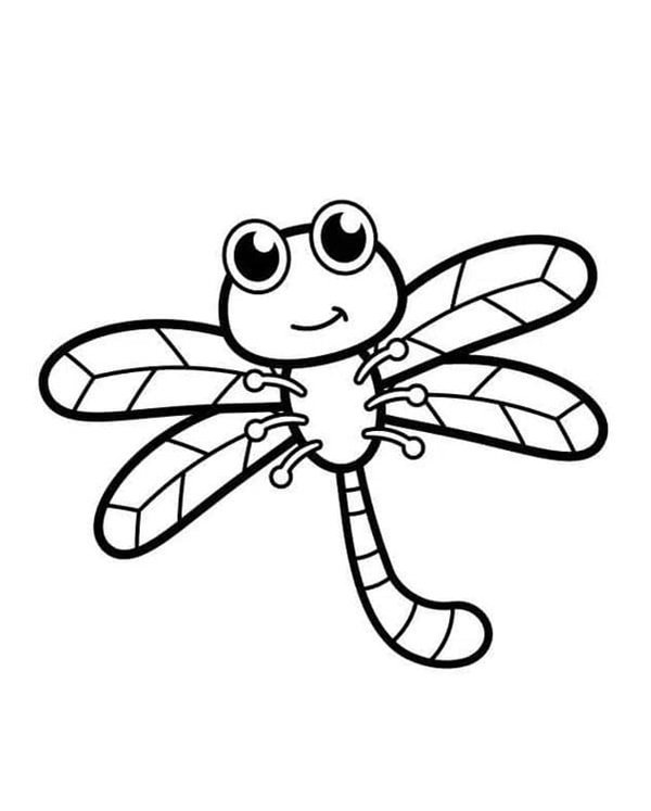 tô màu con chuồn chuồn 18