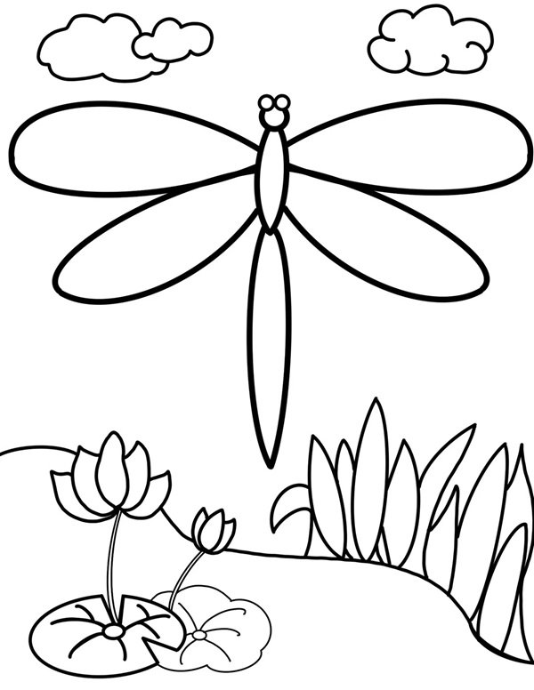 tô màu con chuồn chuồn 25