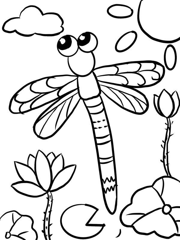 tô màu con chuồn chuồn 28