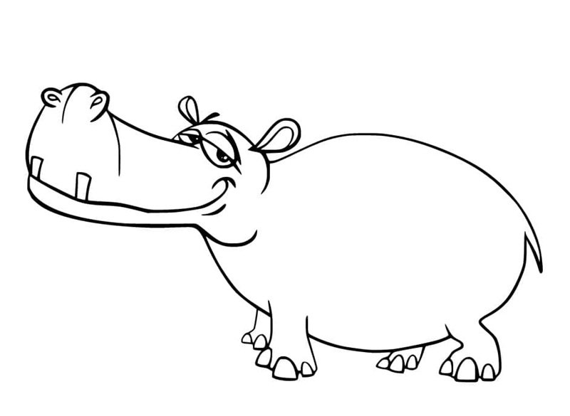 tô màu con hà mã 18