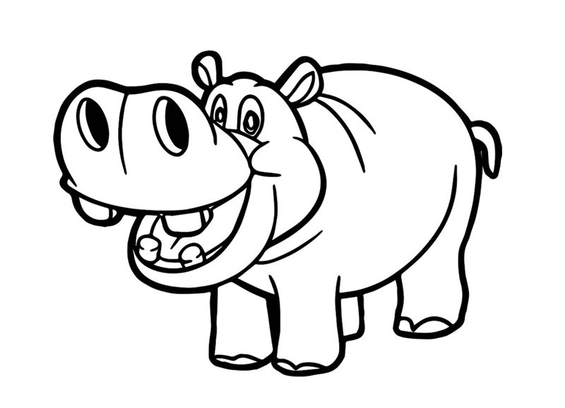 tô màu con hà mã 36