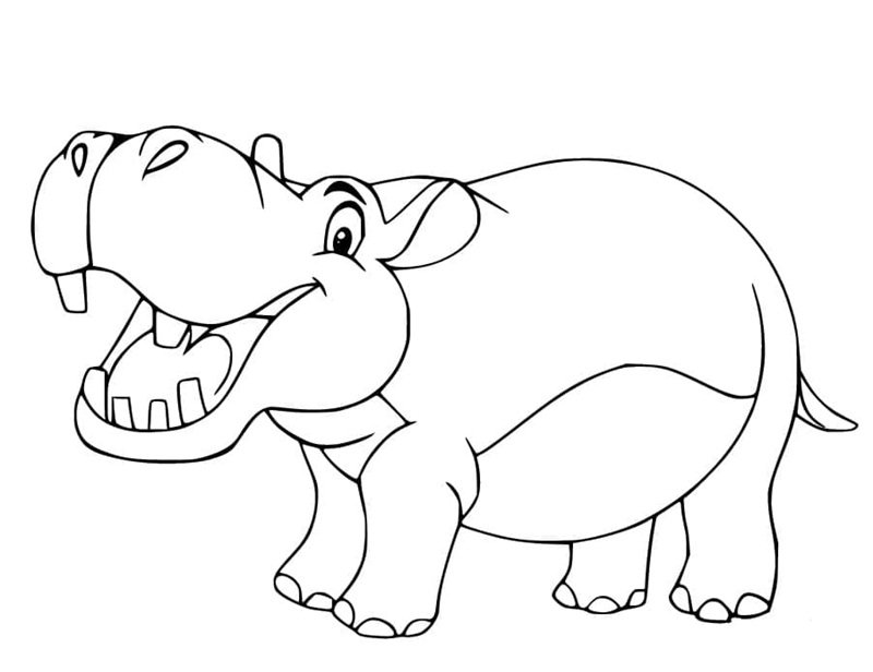 tô màu con hà mã 39