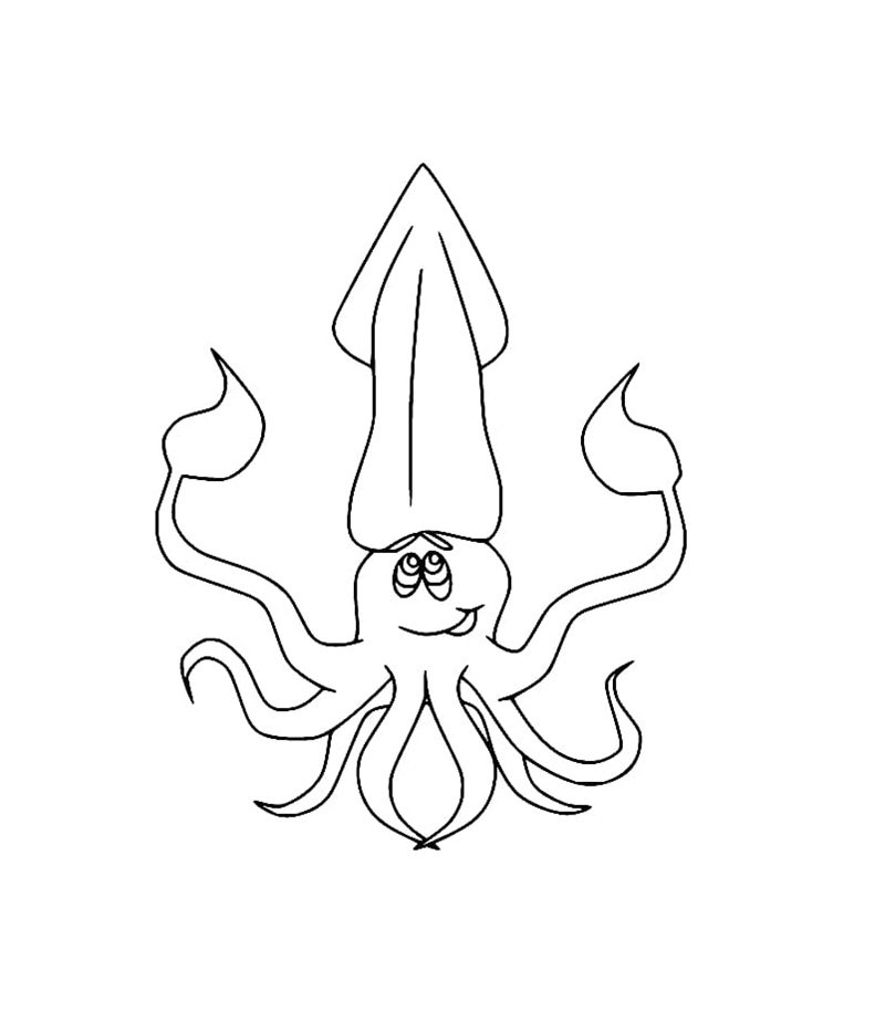 tô màu con mực 11