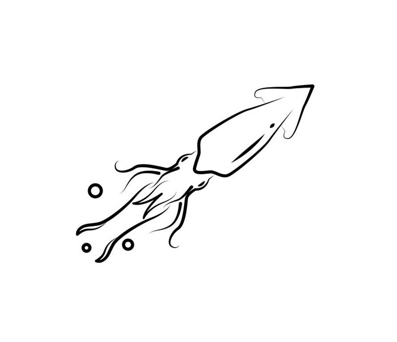 tô màu con mực 15