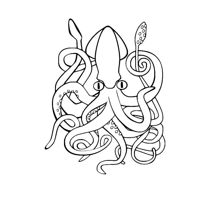 tô màu con mực 19