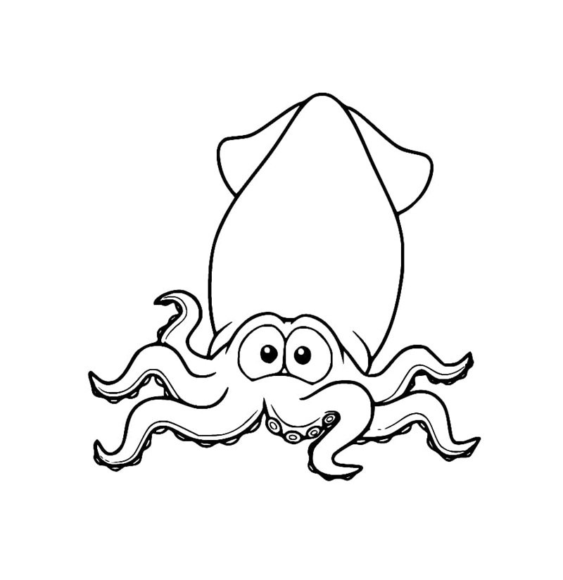 tô màu con mực 23