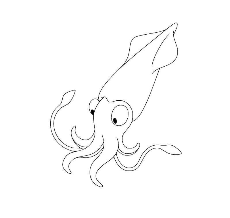 tô màu con mực 26