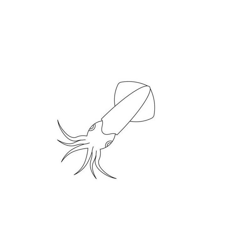 outline silhouette squid icon set