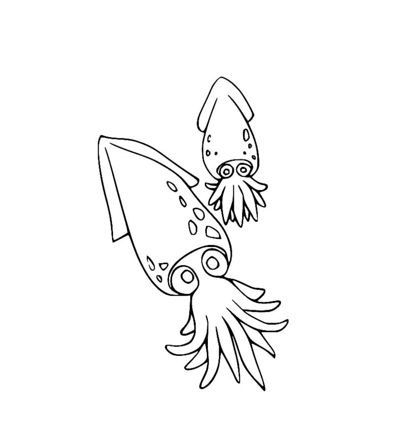 tô màu con mực 32