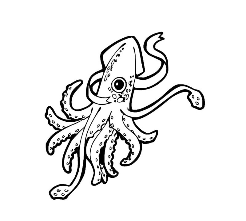 tô màu con mực 33