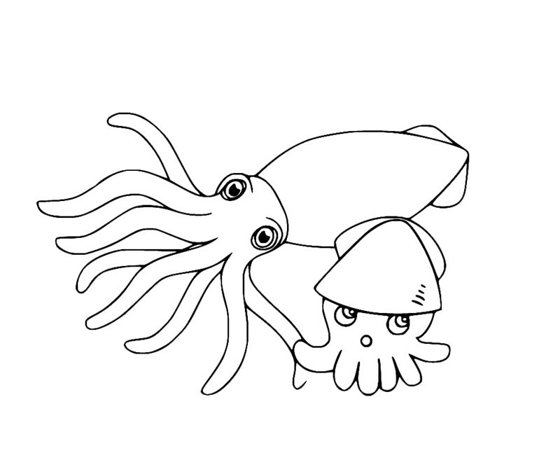 tô màu con mực 39