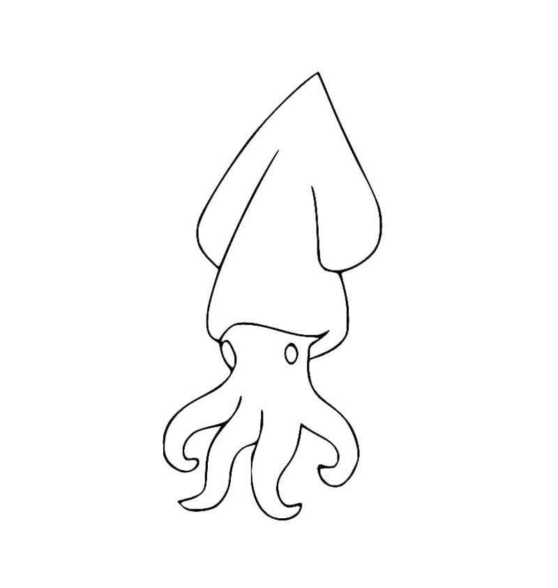 tô màu con mực 4