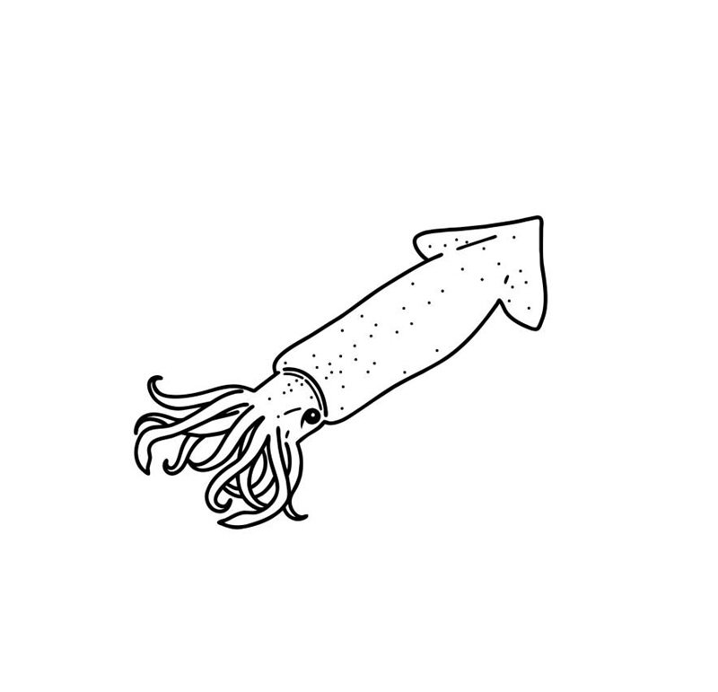 Vector line art illustration.