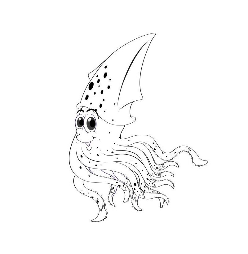 Animal outline for squid illustration
