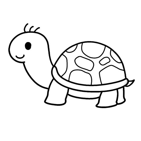 tô màu con rùa 18