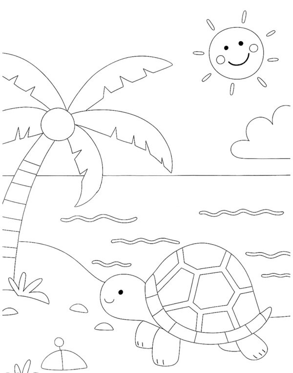 tô màu con rùa 23