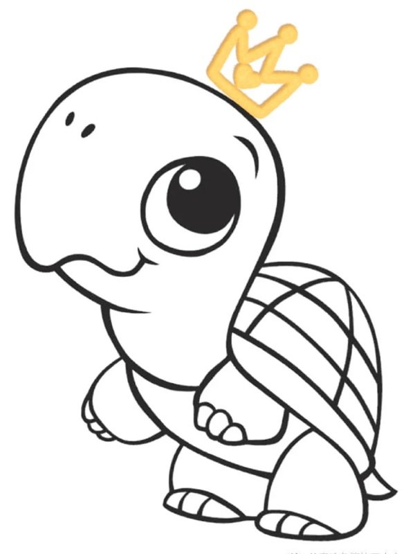 tô màu con rùa 24