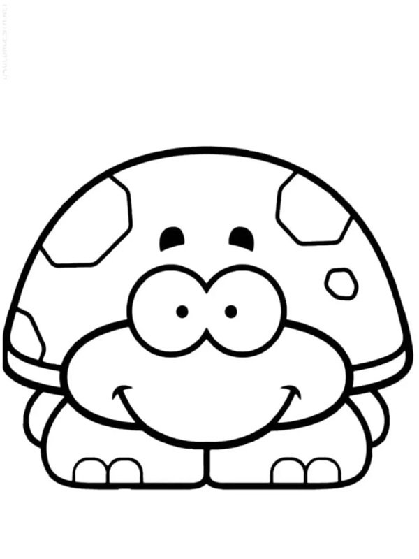 tô màu con rùa 25